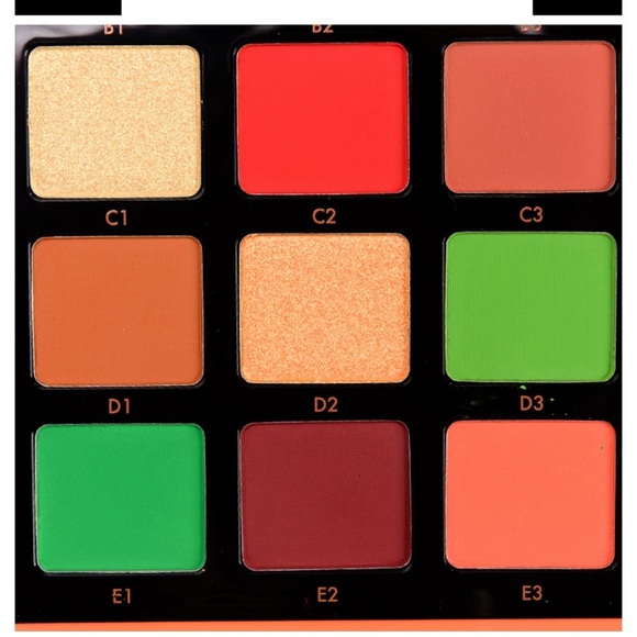 Anastasia Beverly Hills Norvina Vol 3 Pro Pigment Palette - Picture 8 of 15